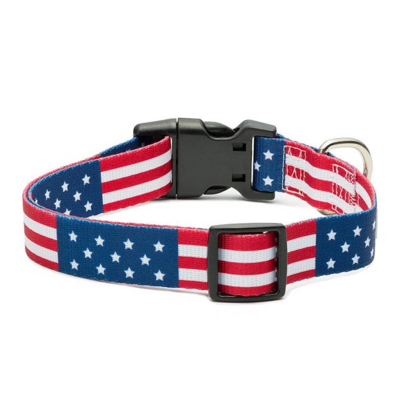 USA Flag Dog Collar & Leash