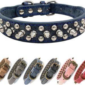 Anti-Bite Spiked Dog Collar for Large Dogs