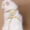 Premium Cat Harness for Cats